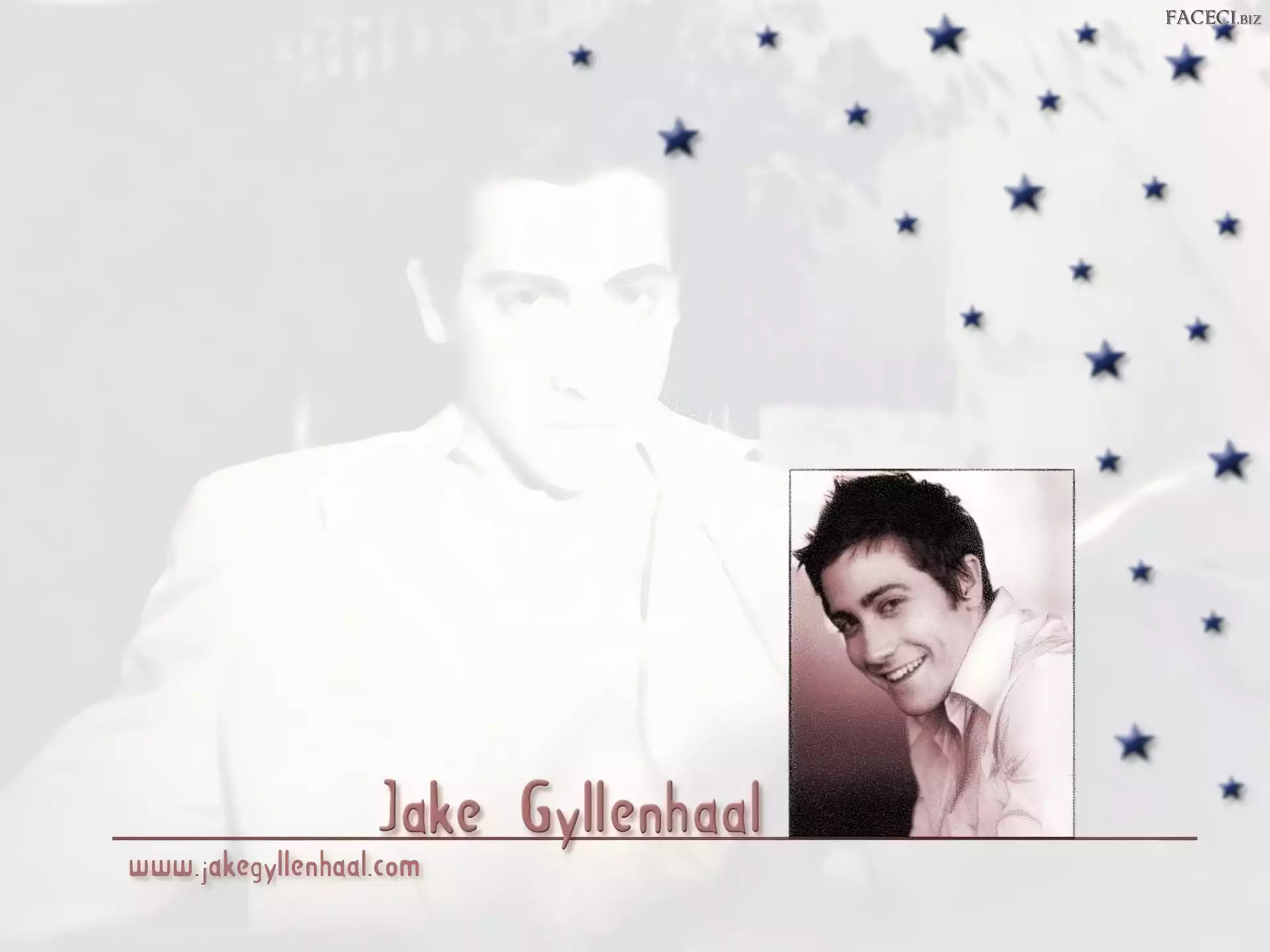 Jake Gyllenhaal, twarz